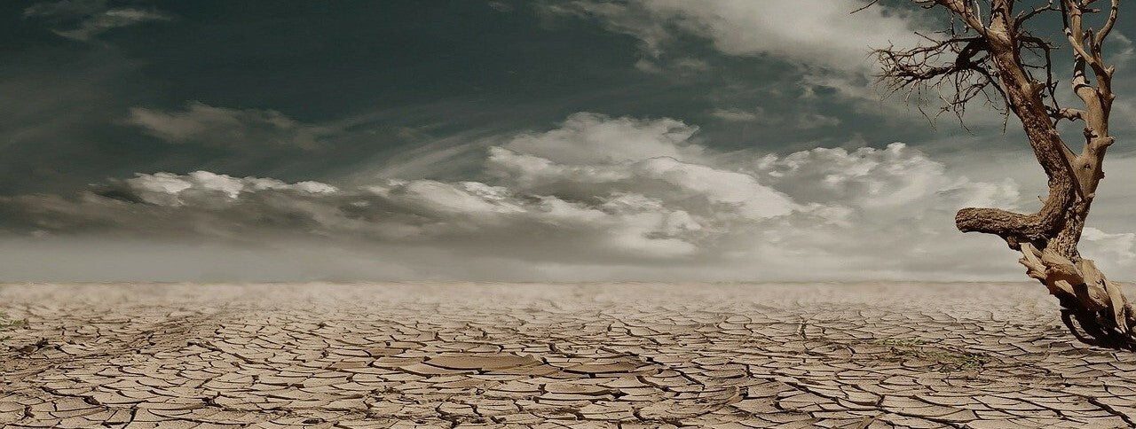 ADIÓS PIEL SECA